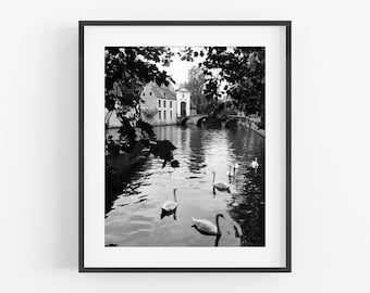 Bruges Belgium Lake of Love Swan Photo Print / Black and White Photo / Travel Photo / Travel Art / Swan Photo / Europe Art / Gallery Wall