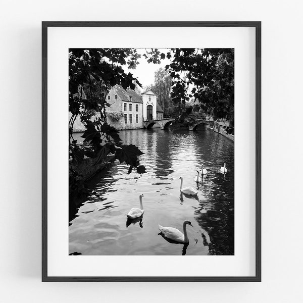 Bruges Belgium Lake of Love Swan Photo Print / Black and White Photo / Travel Photo / Travel Art / Swan Photo / Europe Art / Gallery Wall