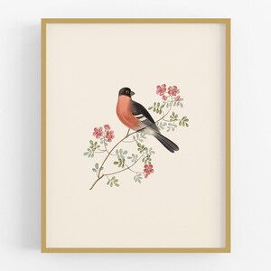 Bullfinch Art Print / Bird Art / Children's Art / Botanical Art / Storybook Art / Nursery Art / Fairy Tale Art / Baby Art / Wall Art