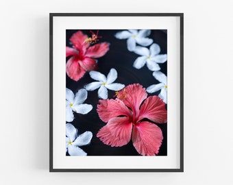 Hibiscus and Jasmine Floating in Water Photo / Tropical Flower Photography / Travel Photography / Tropical Art / Wall Decor / Gallery Wall