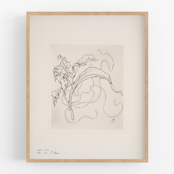 Stampa artistica raffigurante un tulipano in porcellana francese con un ampio bordo.