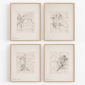French Porcelain Flower Sketches with Wide Borders, Set #1 - Set of Four / Botanical Art / Nursery Art / French Art / Flower Drawings