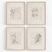 Set of Four French Porcelain Flower Sketches, Set #1 / Botanical Art / Nursery Art / French Art / Flower Art / Wall Decor / Sketch / Art 