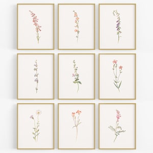 Wildflower Botanical Art Prints - Set of Nine /  Flower Art / Botanical Art / Wildflower Art / Flower Art / Nursery Art / Art