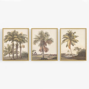 Set of Three Palm Tree Watercolor Art Prints / Tropical Art /  Palm Tree Art / Palm Art / Tropical Watercolor / West Indies Art / Art