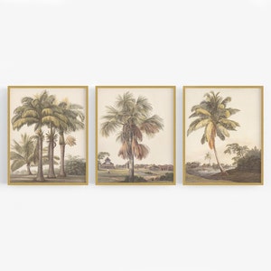 Set of Three Palm Tree Watercolor Art Prints / Tropical Art / Vintage Palm Tree Art / Palm Art / Tropical Watercolor / West Indies Art / Art