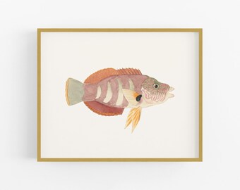 Tropical Fish Watercolor #4, Coastal Style Beach Decor Art Print