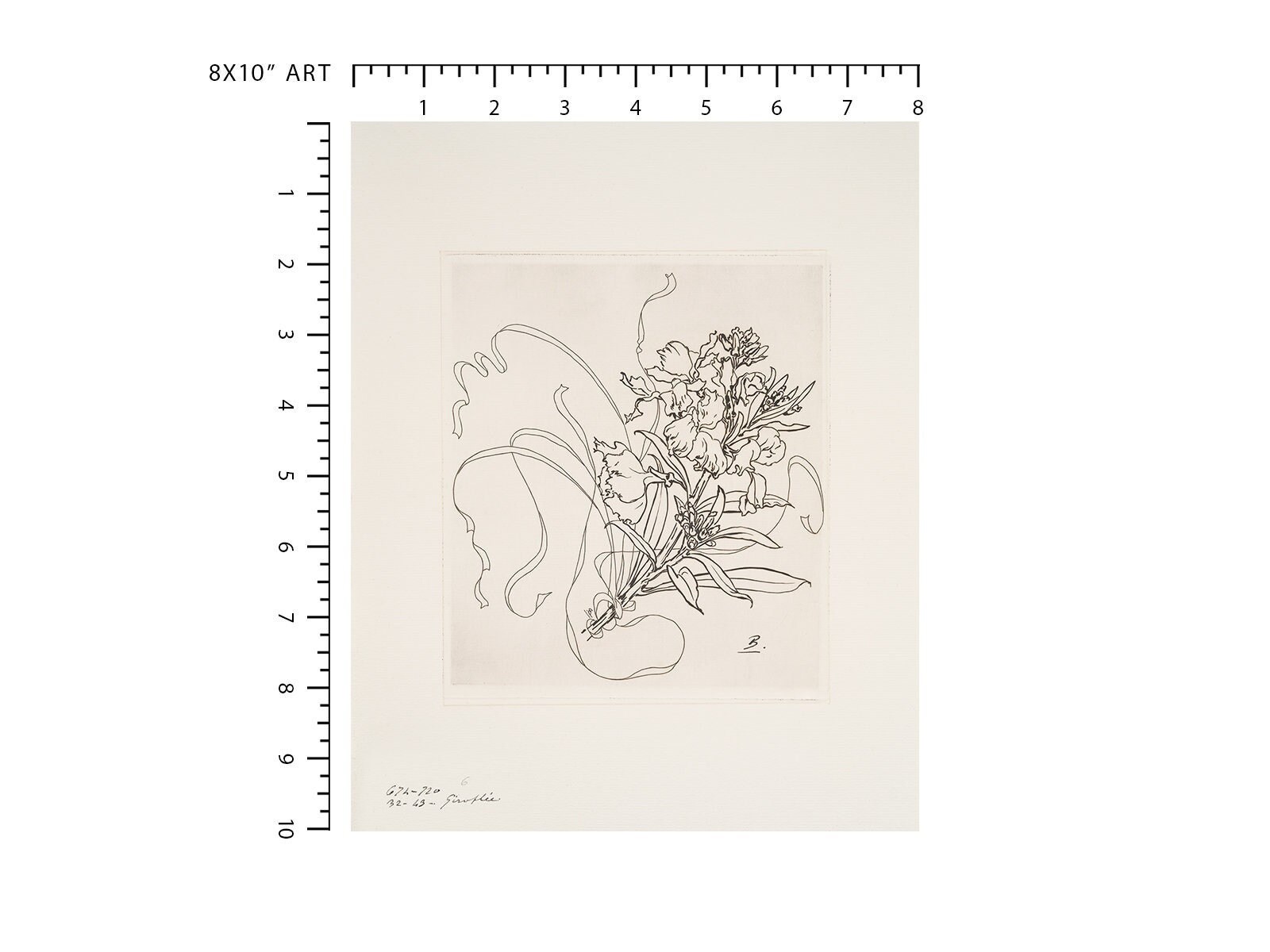 French Porcelain Flower Sketch Art Print / Botanical Art / Art - Etsy
