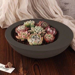 Pode incluir: Um vaso de cerâmica cinza escuro com uma forma de tigela larga e rasa. O vaso está cheio de terra e uma variedade de plantas suculentas em tons de verde, rosa e vermelho.