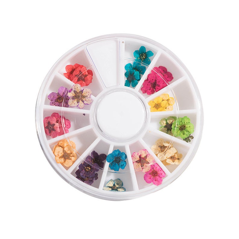 Mini Dried Flowers for resin craft DIYSilicone mold Etsy
