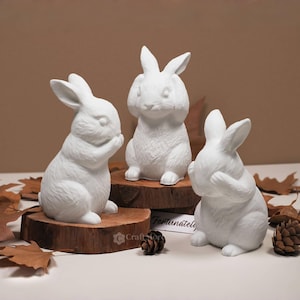 Easter bunny concrete silicone mold-3 Styles Rabbit candle mold-Scented candle mold-Easter Day ornaments plaster/raysin mold-Resin art mold