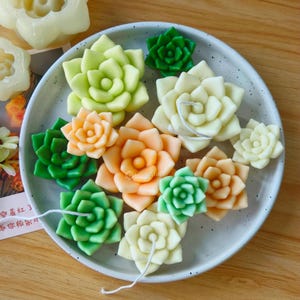 May include: A collection of ten small, hand-crafted succulent candles in various shades of green, white, and orange. The candles are arranged on a white plate with black speckles.