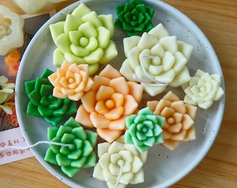 Moldes de silicone para suculentas de 3 tamanhos - Molde de vela para plantas suculentas - Molde de vela com aroma de flores - Molde de gesso de pedra difusora - Molde de ornamentos para suculentas