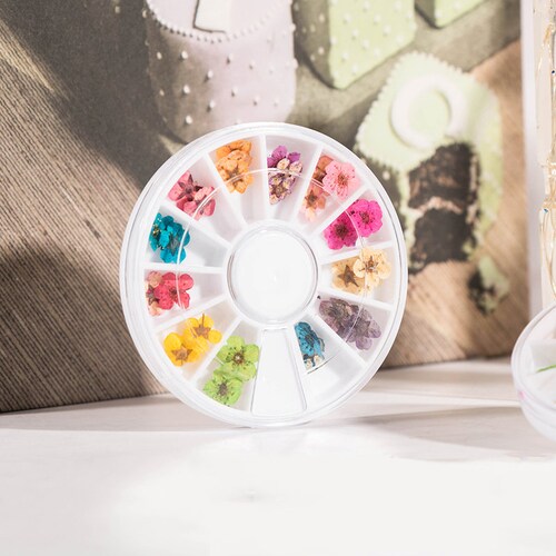 Mini Dried Flowers for Resin Craft Diysilicone Mold Etsy