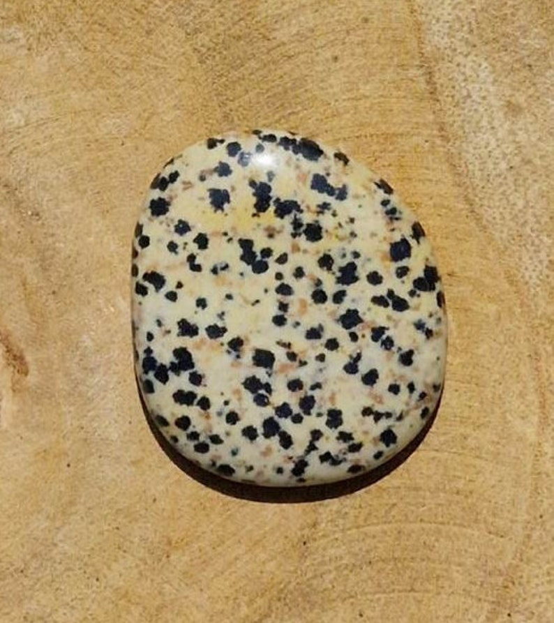 Dalmatian Jasper Flat Stone-Birthday GiftHealing StoneAAA Quality image 4