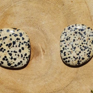 Dalmatian Jasper Flat Stone-Birthday GiftHealing StoneAAA Quality image 2