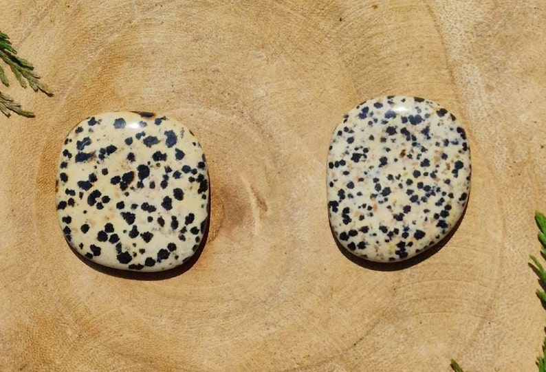 Dalmatian Jasper Flat Stone-Birthday GiftHealing StoneAAA Quality image 2