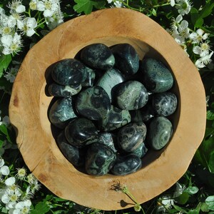 Kambaba Jasper Tumbled Stone