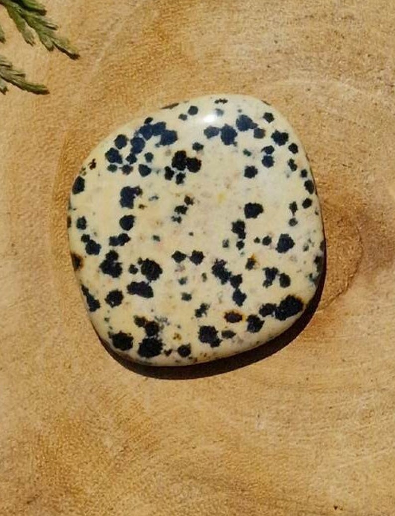 Dalmatian Jasper Flat Stone-Birthday GiftHealing StoneAAA Quality image 3