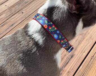 May include: A black and white dog wearing a blue and red floral patterned collar.