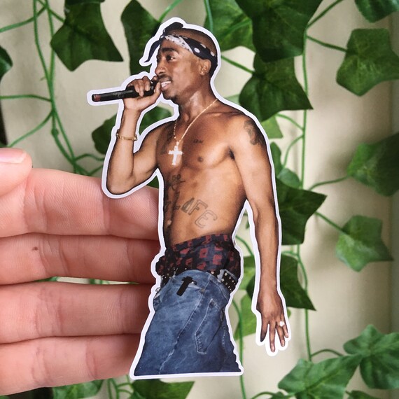 Decals & Skins Laptop Tupac Shakur Thug Life Microphone Rapper 2pac ...