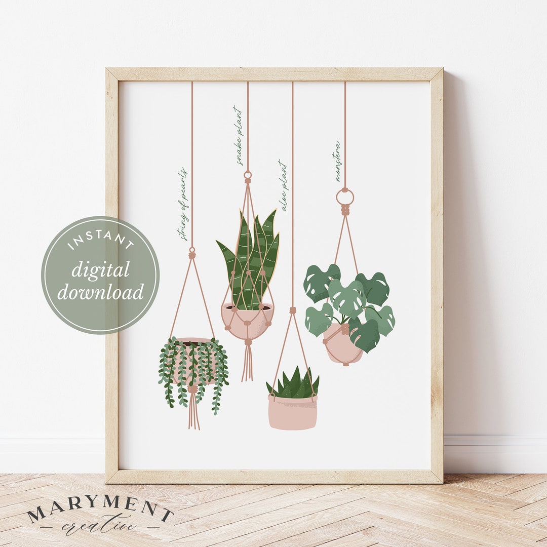PRINTABLE Hanging Plants Art Plant Print Houseplant Sign - Etsy