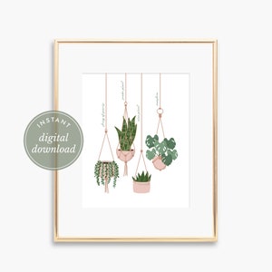 PRINTABLE Hanging Plants Art Plant Print Houseplant Sign - Etsy