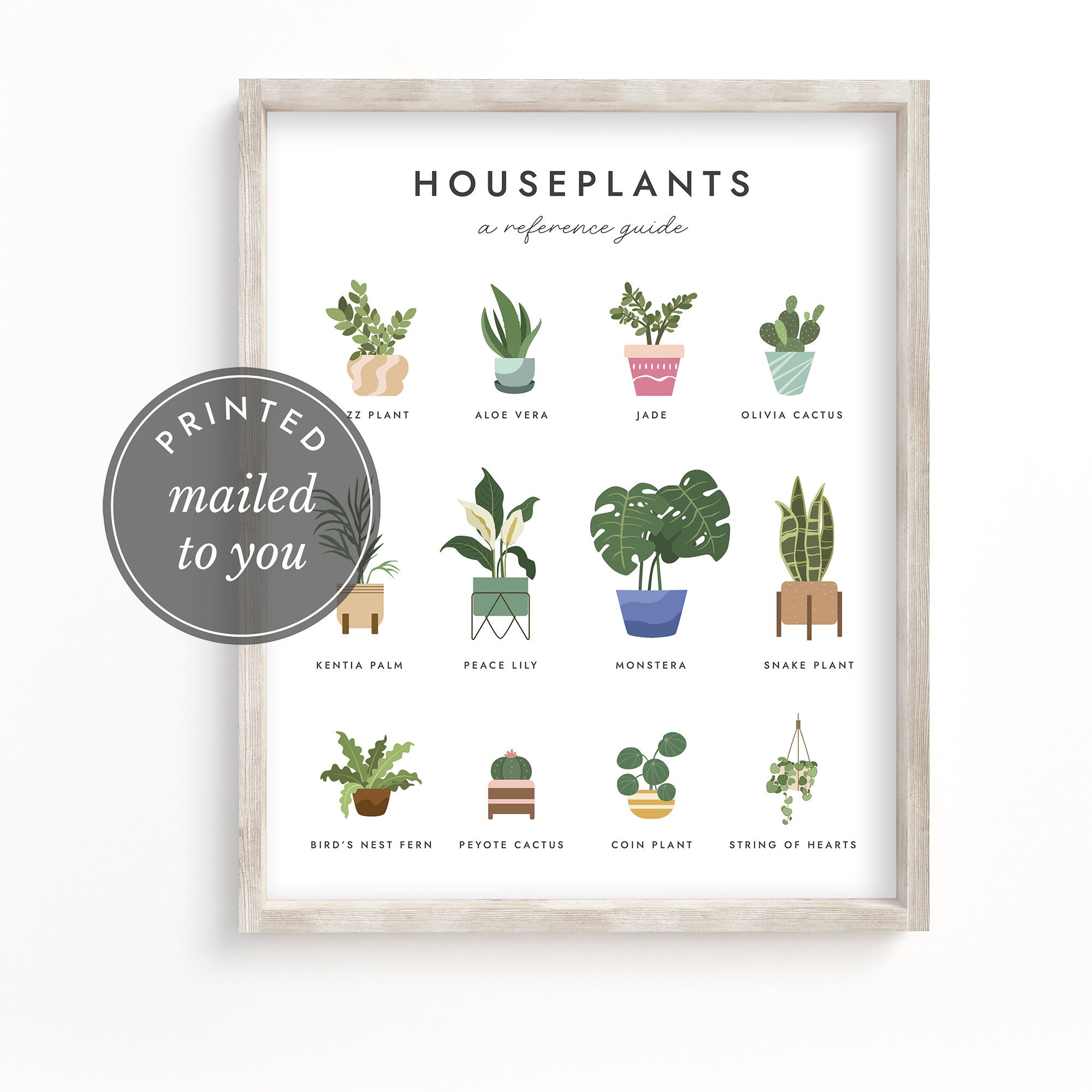 MAILED PRINT Houseplant Guide Plant Art Houseplant - Etsy