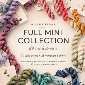 Missus Sedas Full Mini Collection – 99 Silk Mini Skeins – Solid and Variegated Colors – Hand-Dyed Mulberry Silk Thread image 10