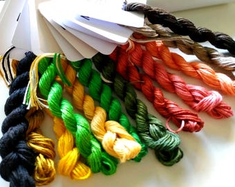 May include: A color palette of embroidery floss in various shades, including black, yellow, green, and red. The floss is arranged in a fan shape, with each color attached to a white card. The image is well-lit, showcasing the vibrant colors of the floss.