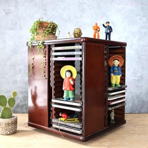 May include: A dark brown wooden CD storage cabinet with multiple shelves. The cabinet is decorated with small figurines and a potted plant. A cactus in a decorative pot is on the left.