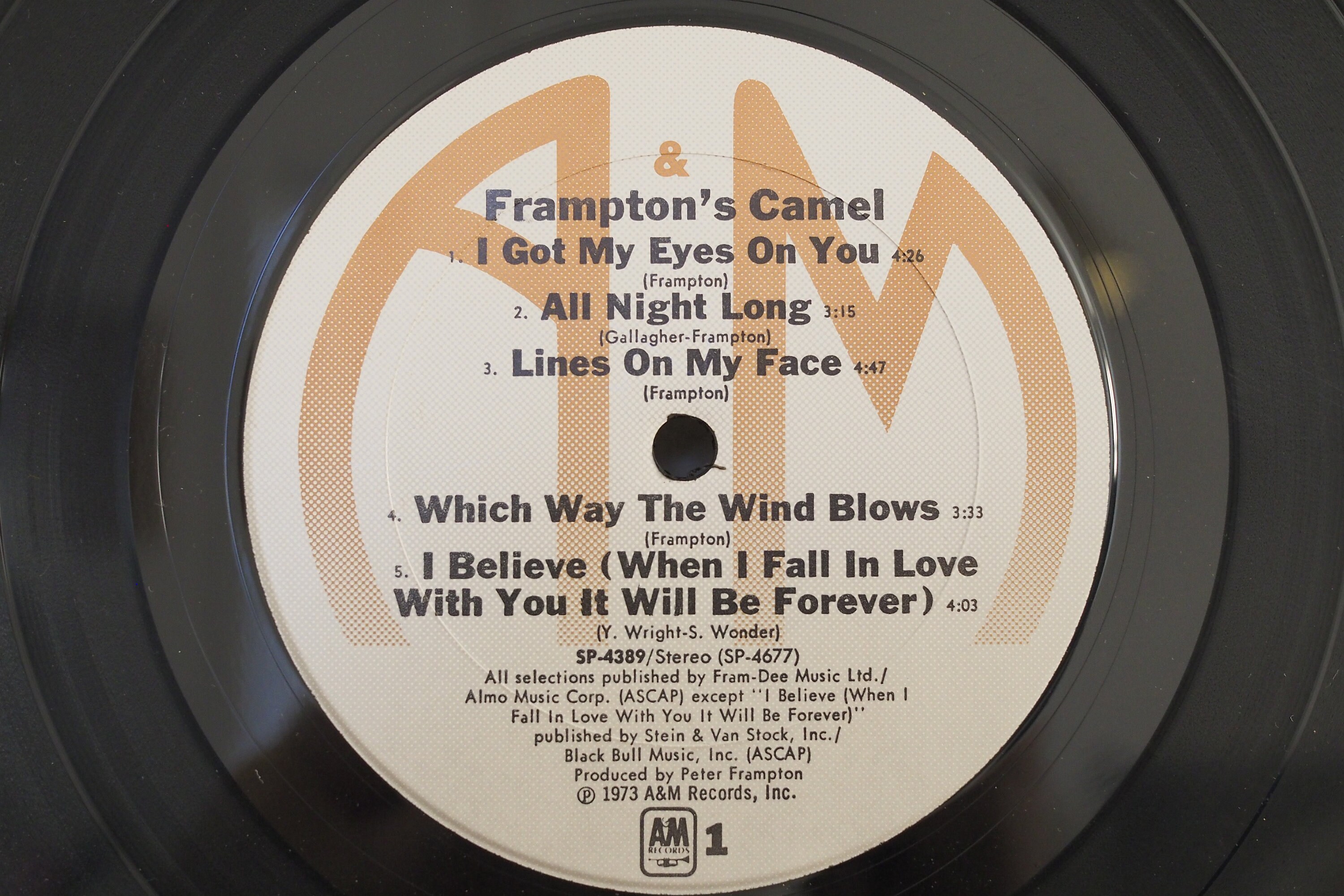 Frampton's Camel Record Album Vinyl Lp 33rpm A and M Etsy