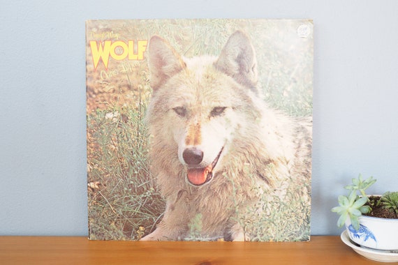 WOLF Canis Lupus reviews