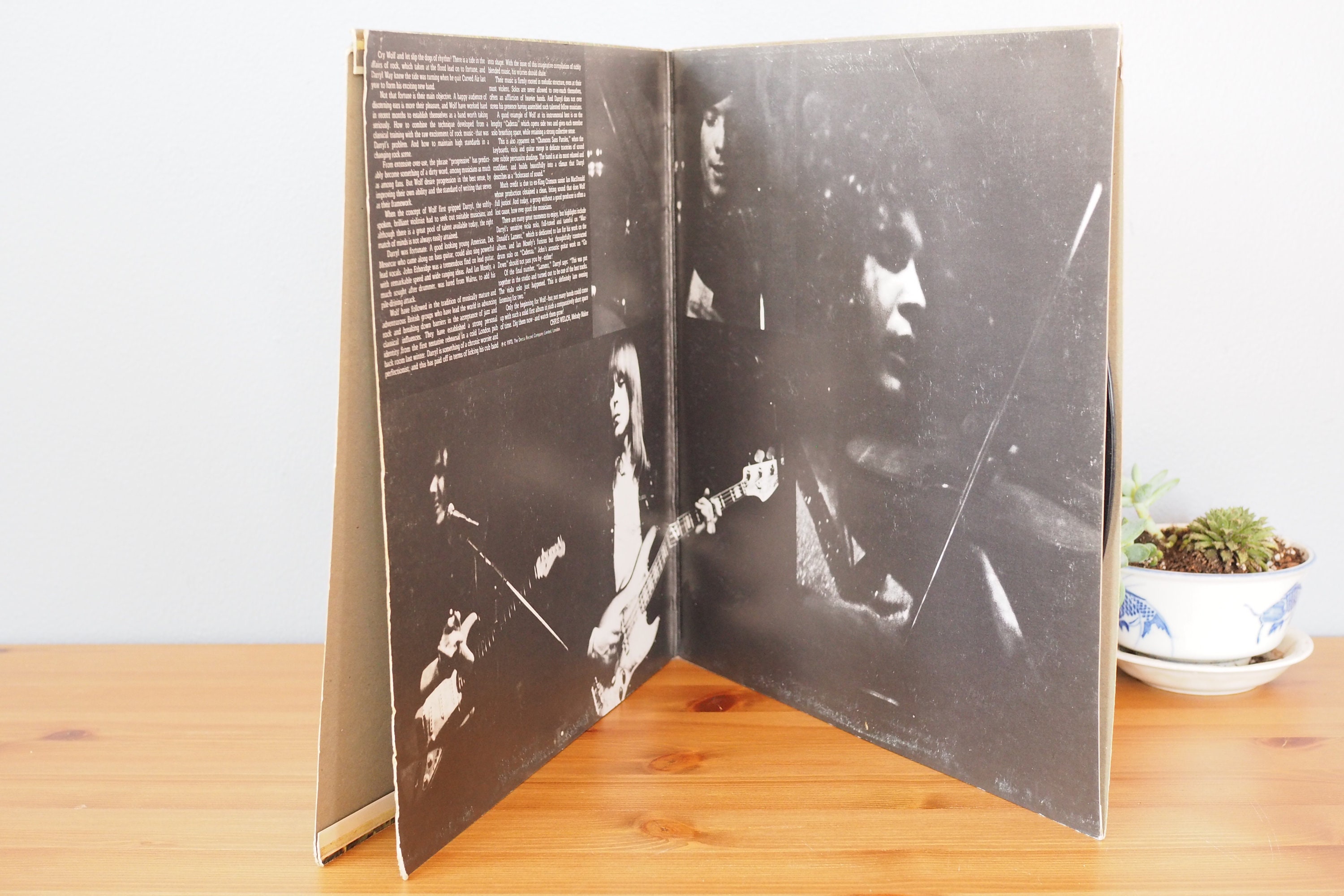 Darryl Way's Wolf Canis Lupus Vinyl Record LP, Deram UK Pressing