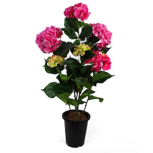 May include: A potted artificial hydrangea plant with pink flowers and green leaves. The plant is in a black plastic pot.