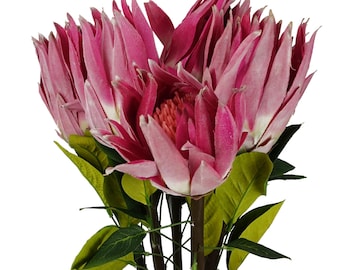 Pack Of 6 X 65cm Protea Sugarbush Flower Stem - Pink