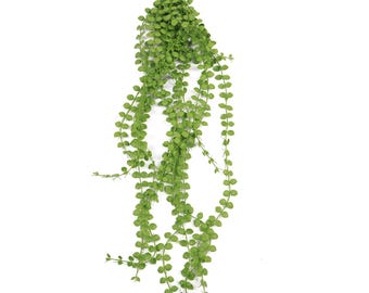 Planta artificial colgante resistente a los rayos UV y al fuego con cadena de perlas de 92 cm