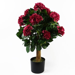 May include: A potted artificial hydrangea tree with a dark brown wooden trunk and dark green leaves. The flowers are a deep burgundy red.