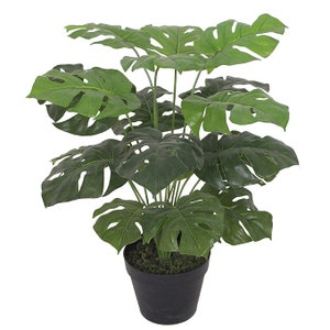 Artificial Monstera Plant - 60cm Monstera