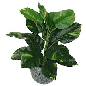 May include: An artificial plant in a pot, featuring green and yellow variegated leaves. The plant is housed in a blue and grey ceramic pot with a textured finish.