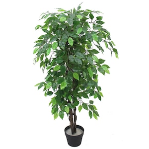 May include: A potted artificial ficus tree with a twisted trunk and lush green leaves. The tree is in a black plastic pot.