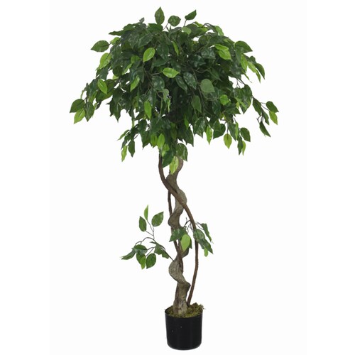 140cm Realistic Artificial Japanese Fruticosa Tree Ficus Tree Etsy UK