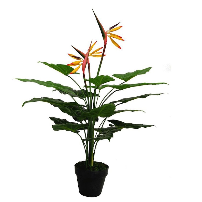 70cm Artificial Bird of Paradise Plant strelitzia Large Etsy UK