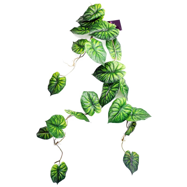 120cm Artificial Hanging Trailing Plant Alocasia Dragon Scale Green image 1