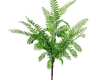 55cm Himilayan Maidenhair Fern Bush Light Green Plant