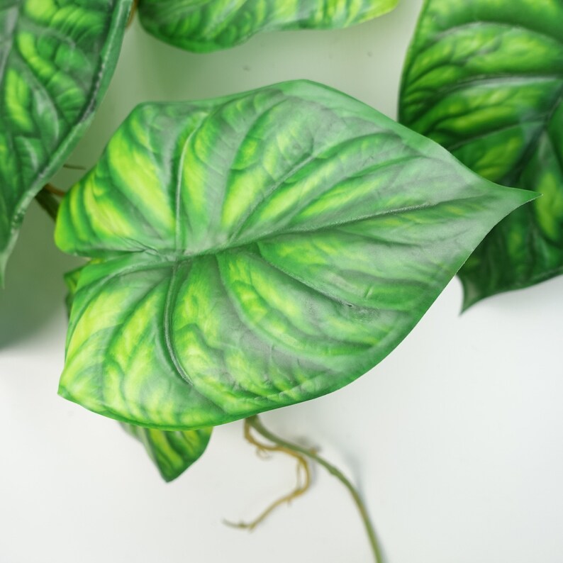 120cm Artificial Hanging Trailing Plant Alocasia Dragon Scale Green image 3