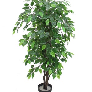 May include: An artificial ficus tree in a black pot. The tree has a twisted trunk and many green leaves.