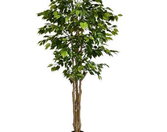 Ficus Retusa de lujo ignífugo de 180 cm con 1134 hojas