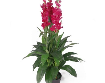 Purple Leaf 100cm Artificial Cymbidium Orchid Plant-Extra Large Black Plastic Pot Design UK Purple Leaf 100cm Artificial Cymbidium Orchid Plant-Extra Large Black Plastic Pot Design UK