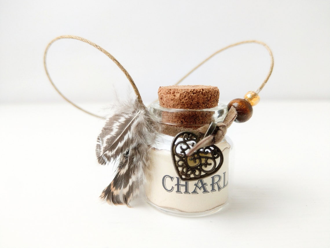 Pet hair memorial keepsake Dog lockets for ashes Remembrance Etsy